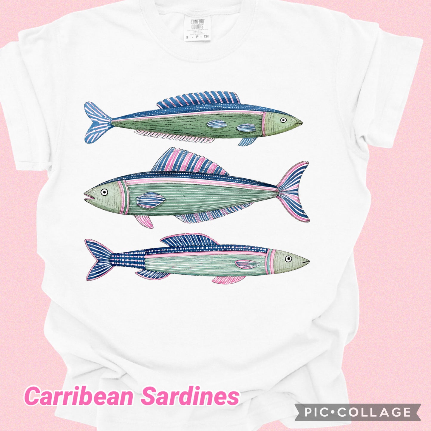 COASTAL COLLECTION